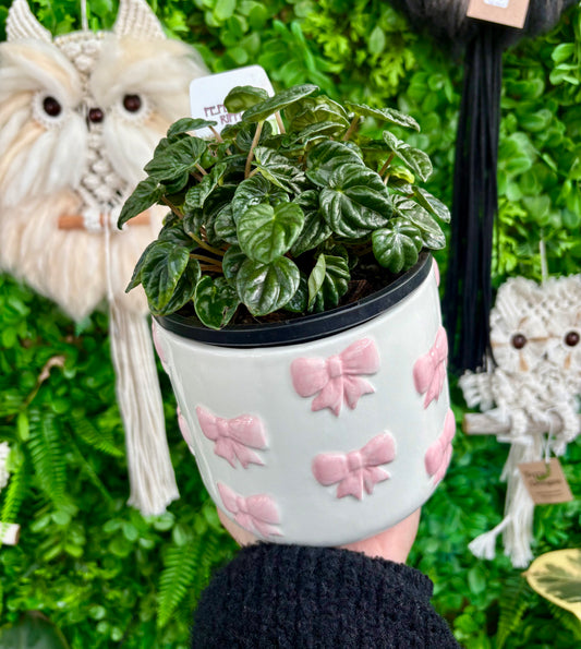 Pink Bows Planter