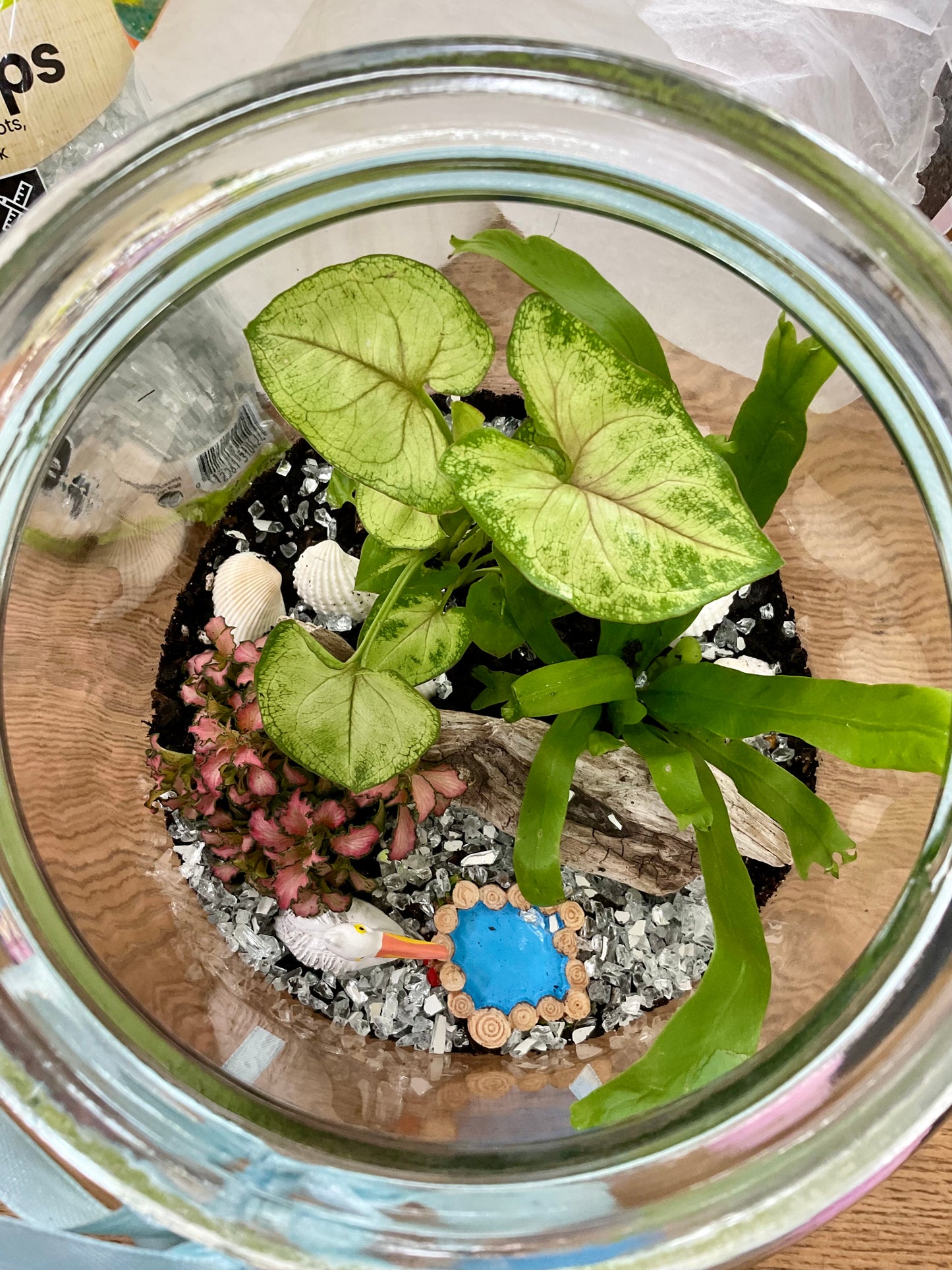Bird Terrarium