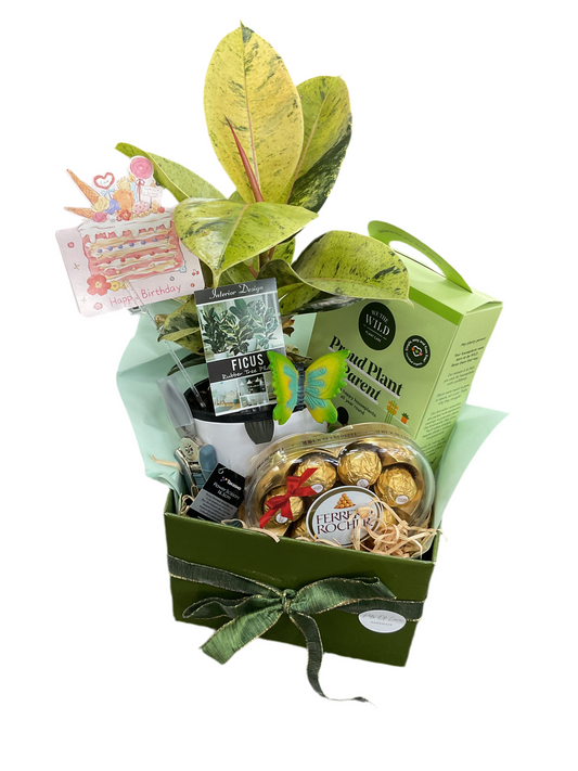 Greenery Parent Hamper