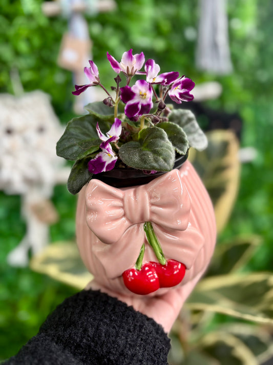Pink Bow Cherry Planter