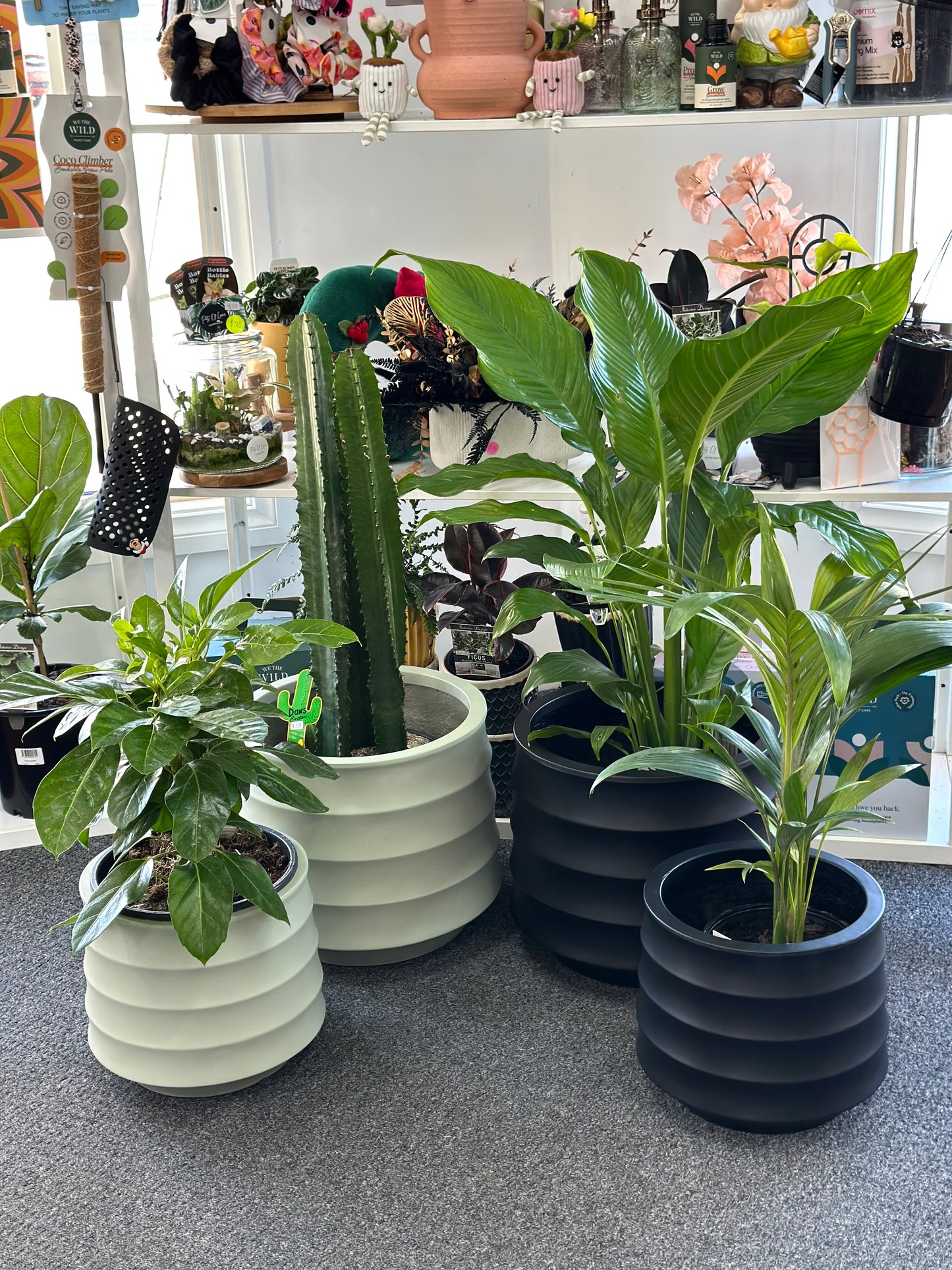 Ellipse planter