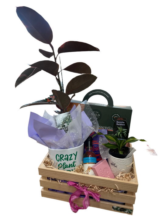 Crazy Plant Lady Hamper