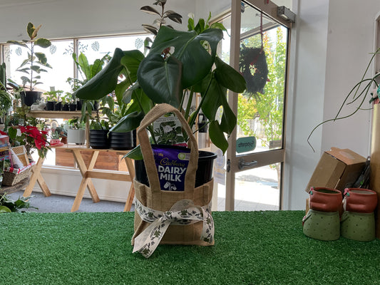 Christmas Hamper- Monstera and Choc Combo