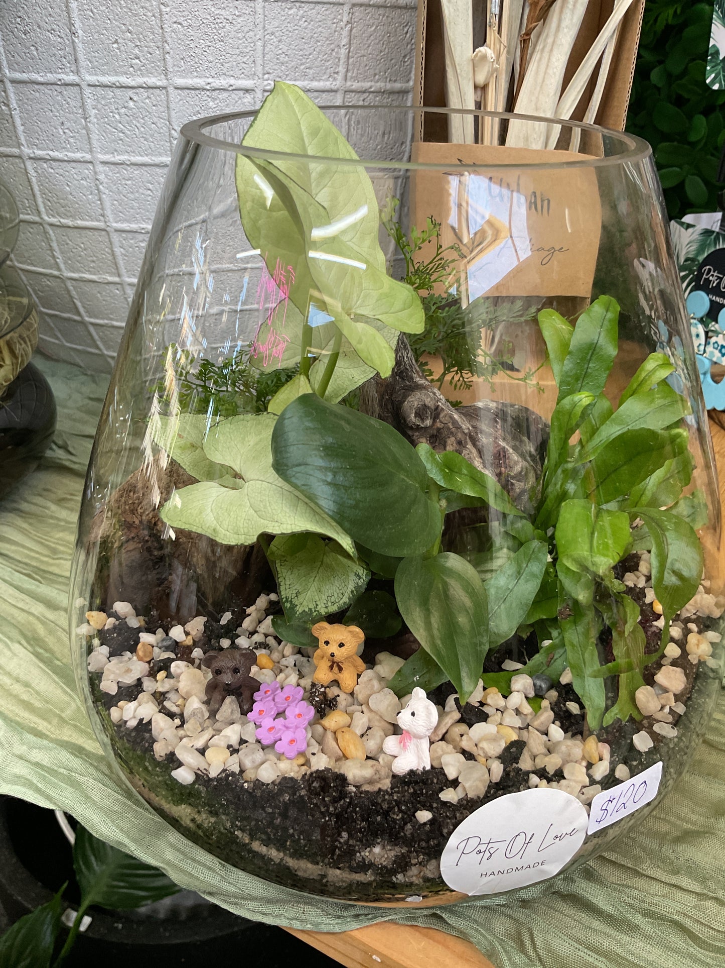 Terrarium - Teddy bears