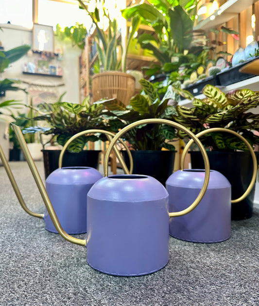 Purple - short watering can