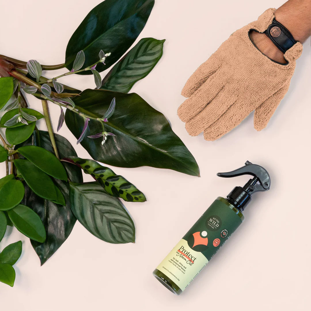 We The Wild - Leaf Health Kit