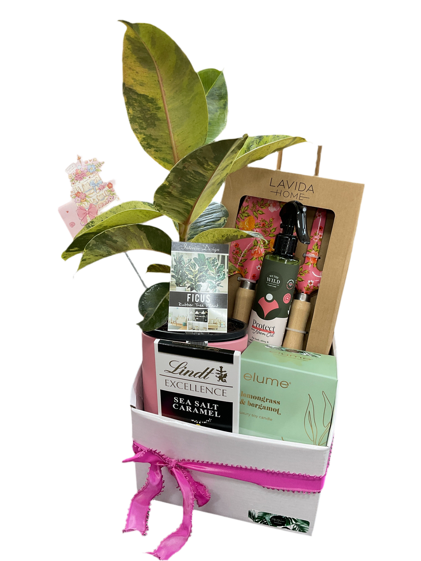 Gardener delight hamper
