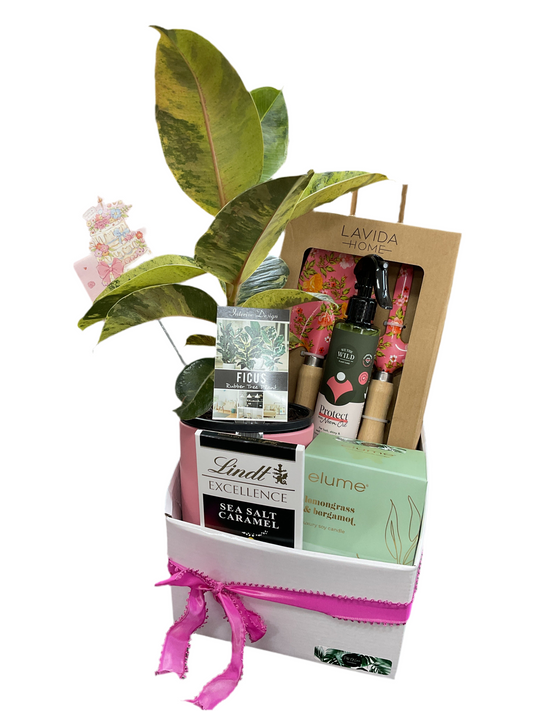 Gardener delight hamper