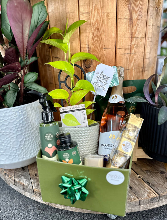 Plant Mum Hamper