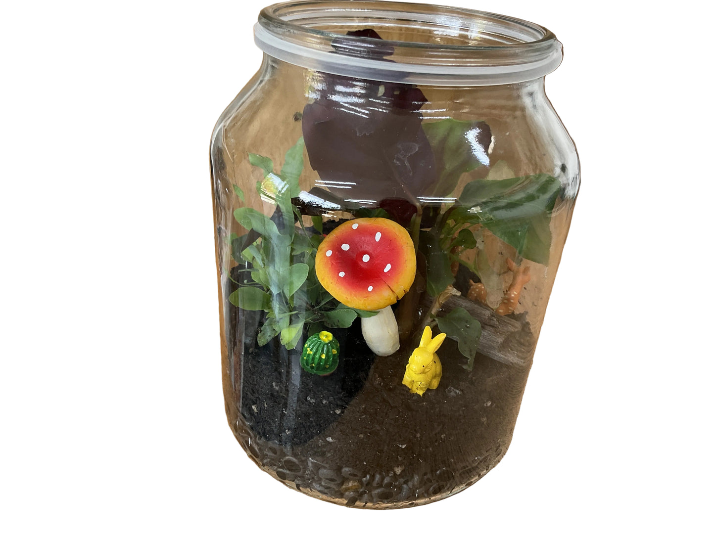 Terrarium - Forest Friends