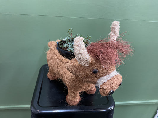 Husk Highland Cow Planter Large