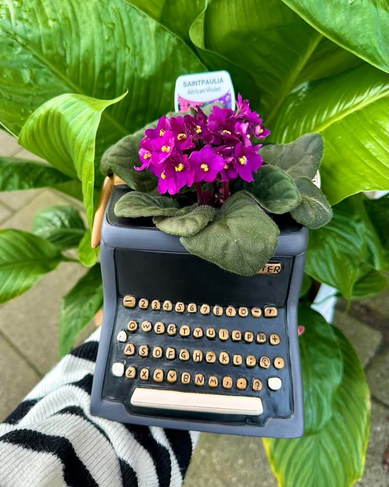 Allen Designs - Black Typewriter