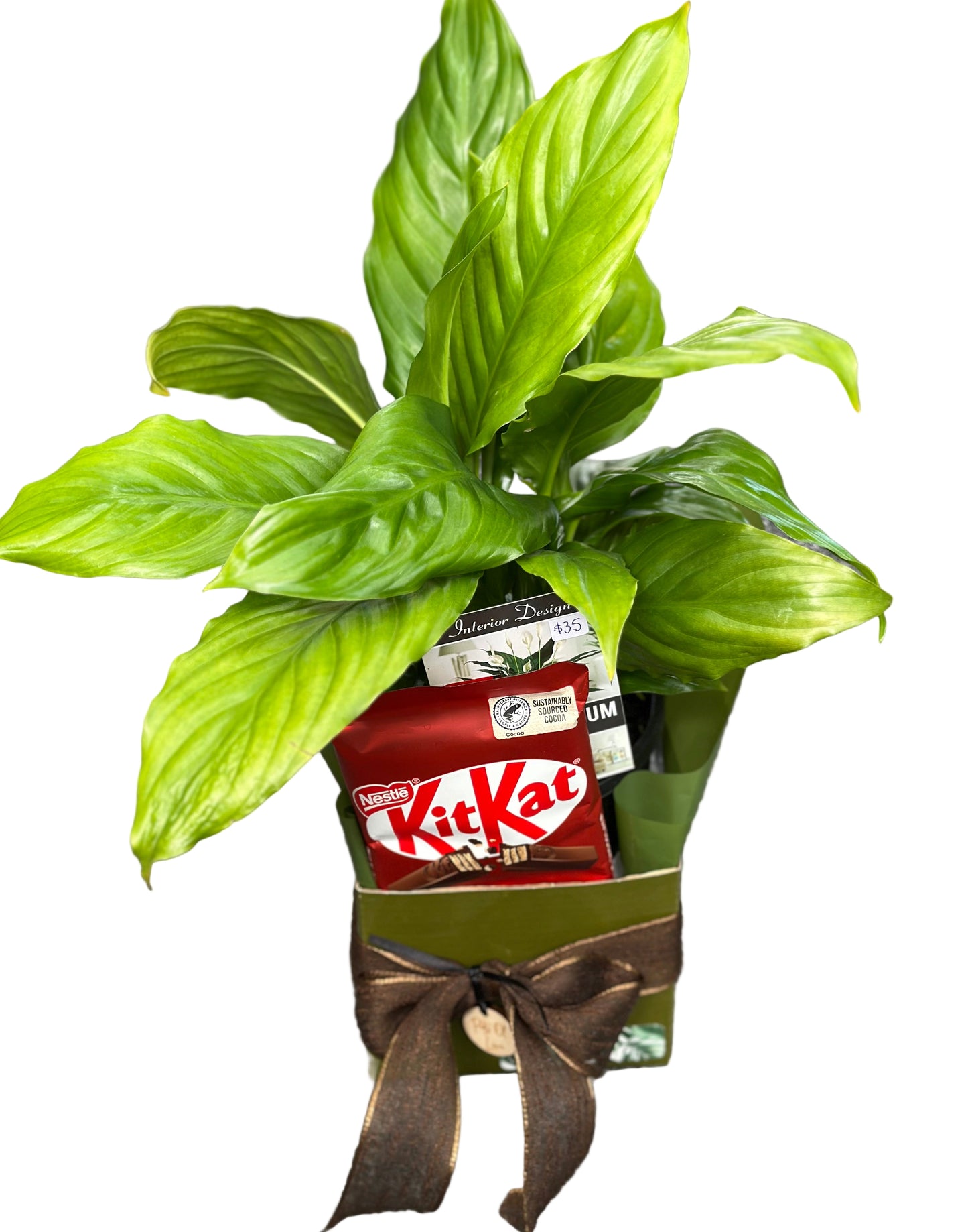 Plant - Chocolate Mini Hamper