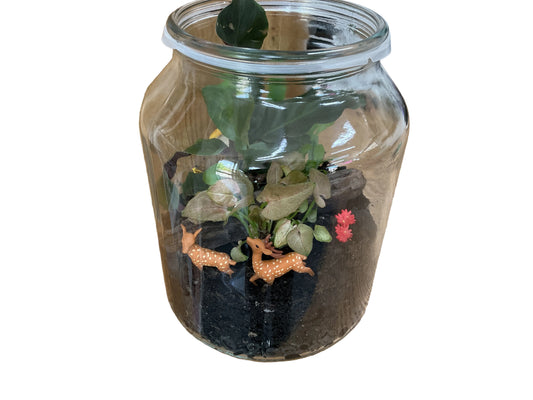 Terrarium - Forest Friends