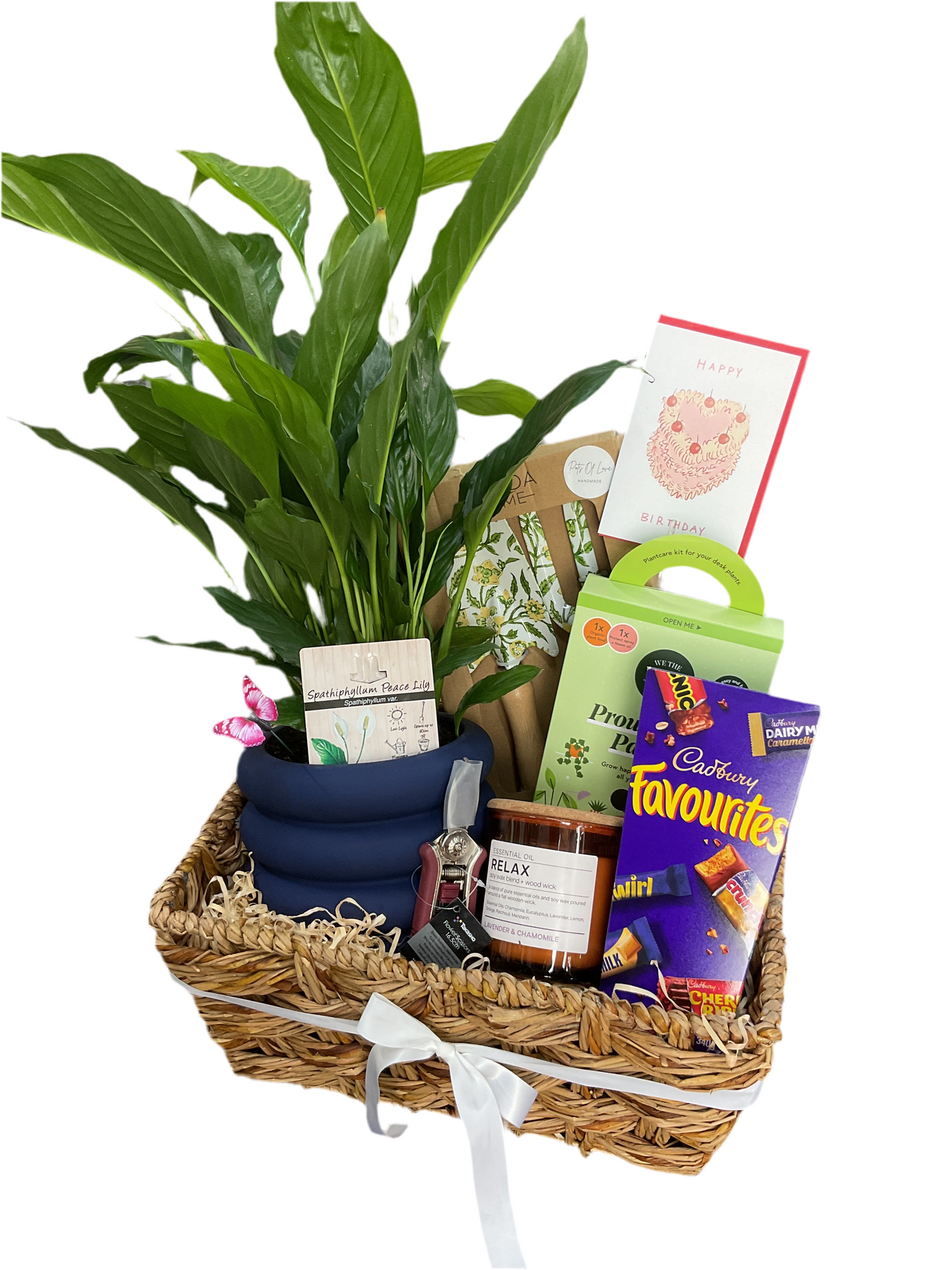 Deluxe plant parent Hamper
