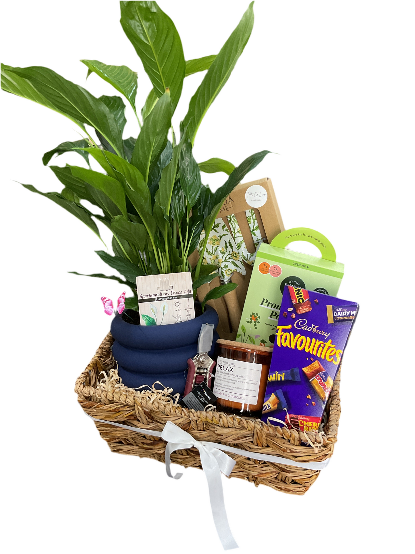 Deluxe plant parent Hamper