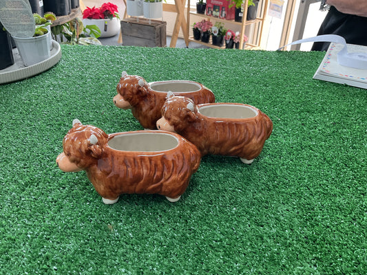 Highland Cow Planter