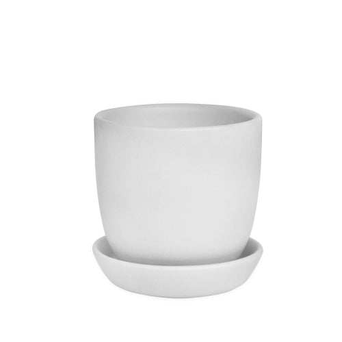 9cm White Tulip Pots With Saucer