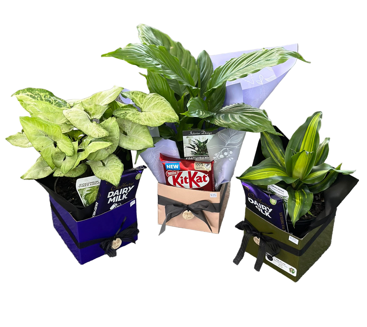Plant - Chocolate Mini Hamper