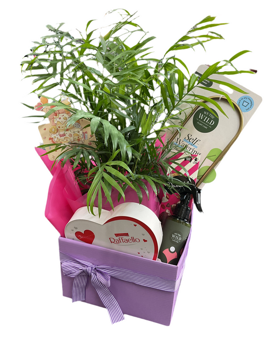 Planty Hamper