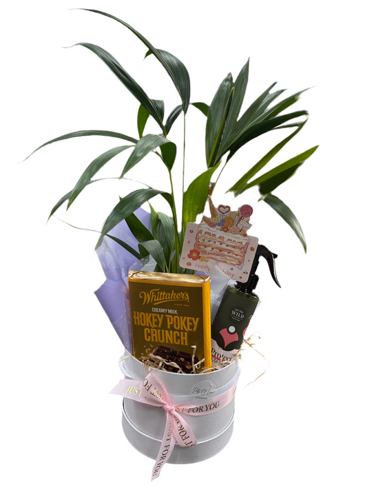 Hatbox hamper