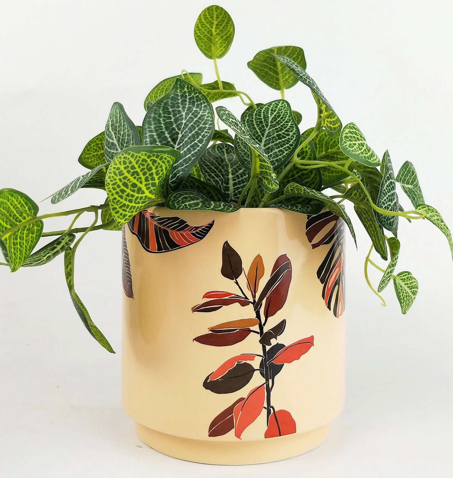 Ivy Foliage Planter 16cm