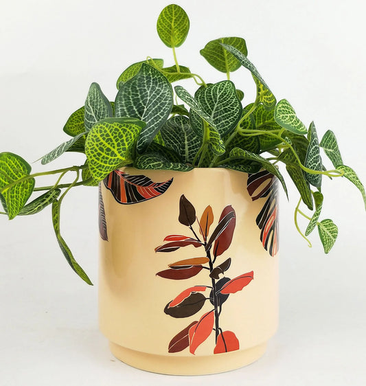 Ivy Foliage Planter 16cm