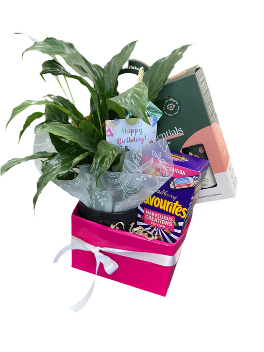 Plant Care hamper