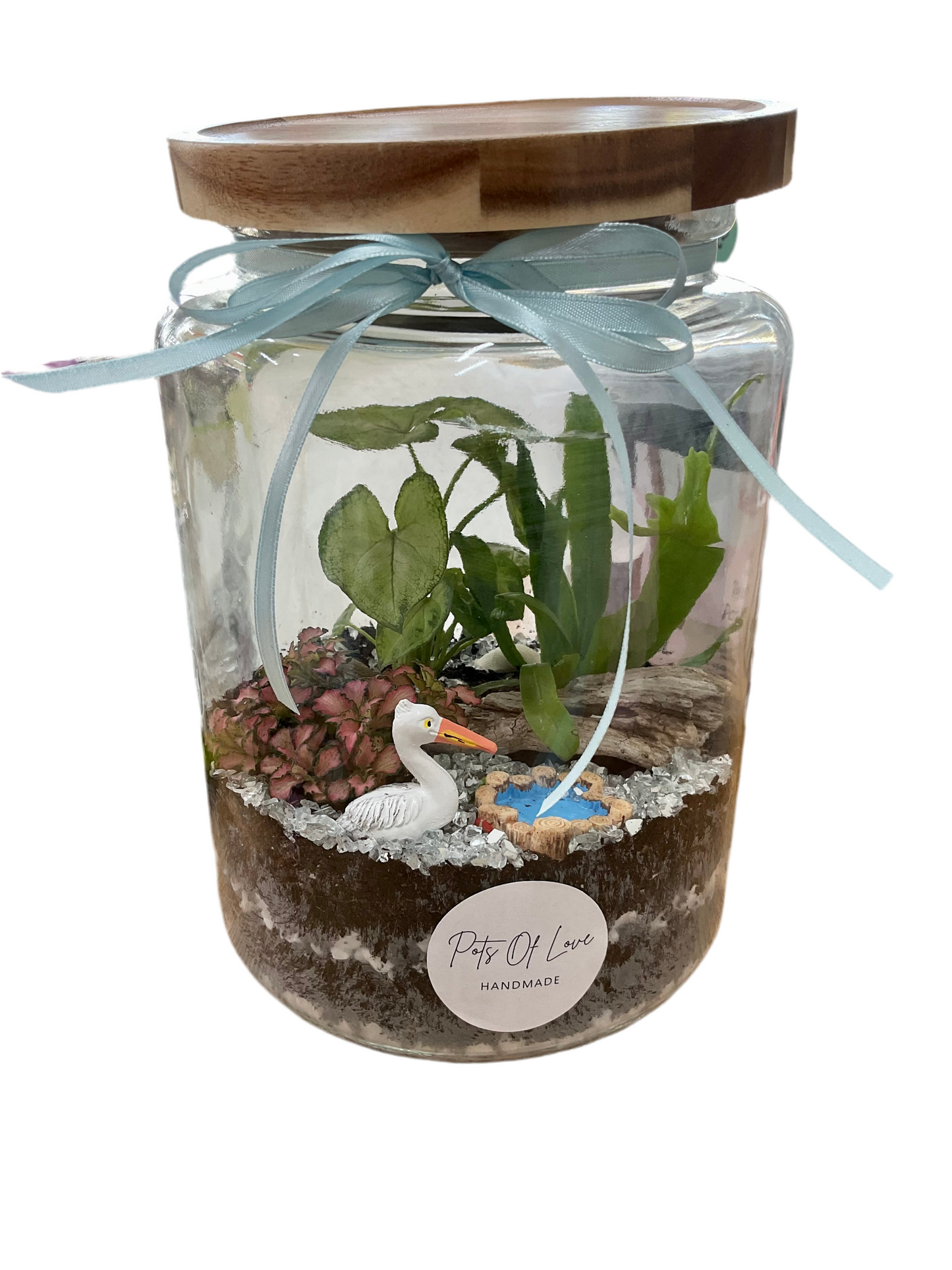 Bird Terrarium