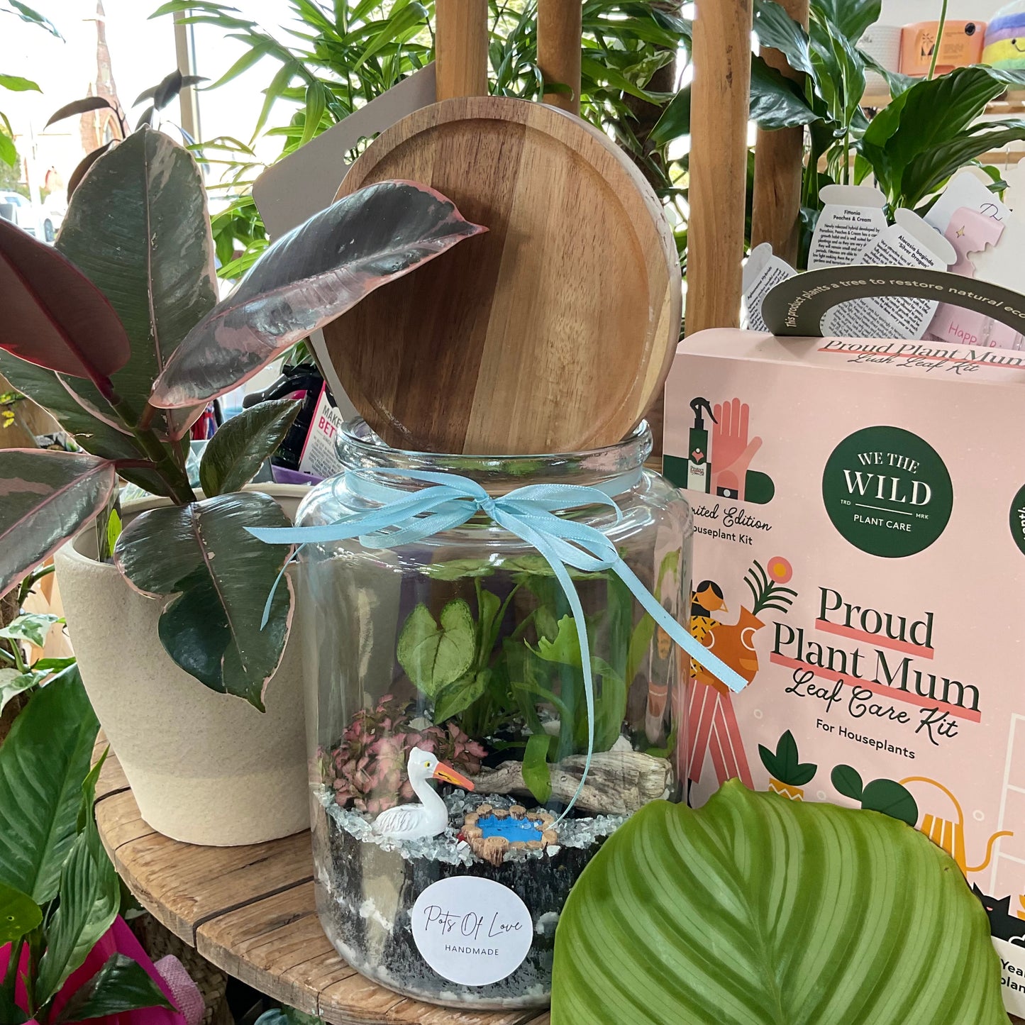 Bird Terrarium