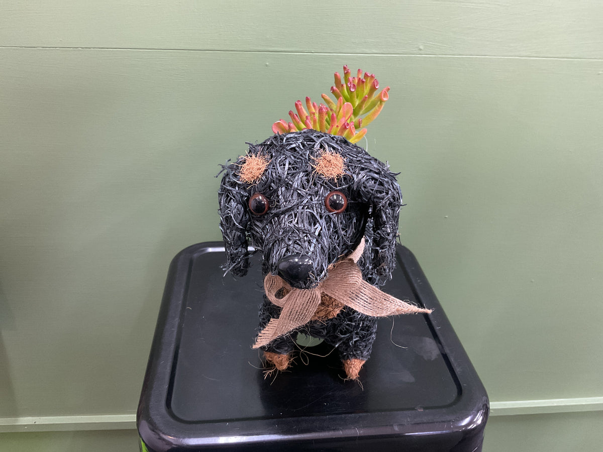 Husk Dachshund Planter