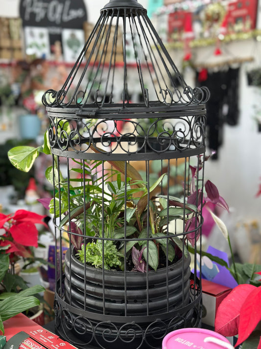 Birdcage Planter Arrangement