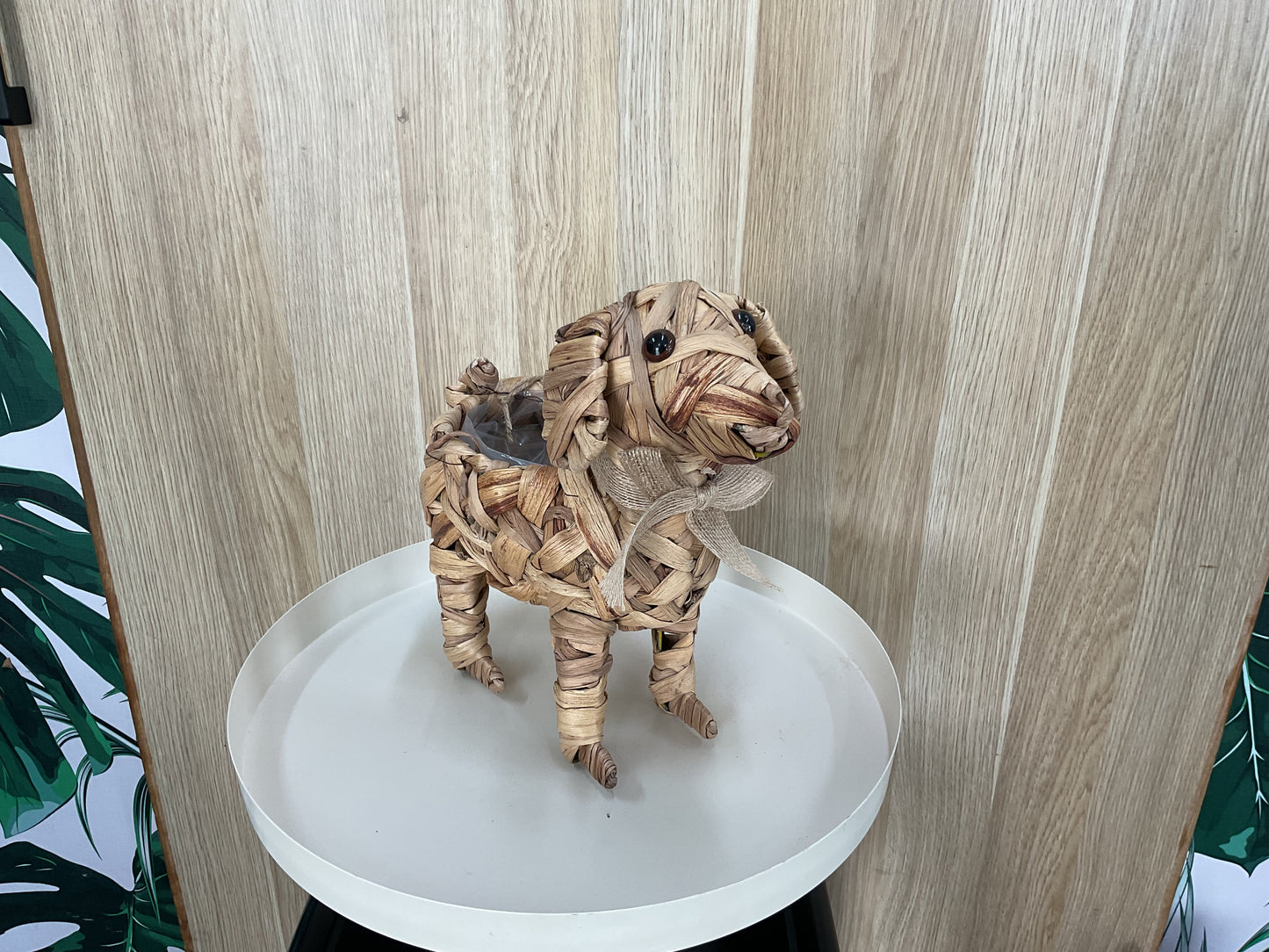 Woven Dog Planter