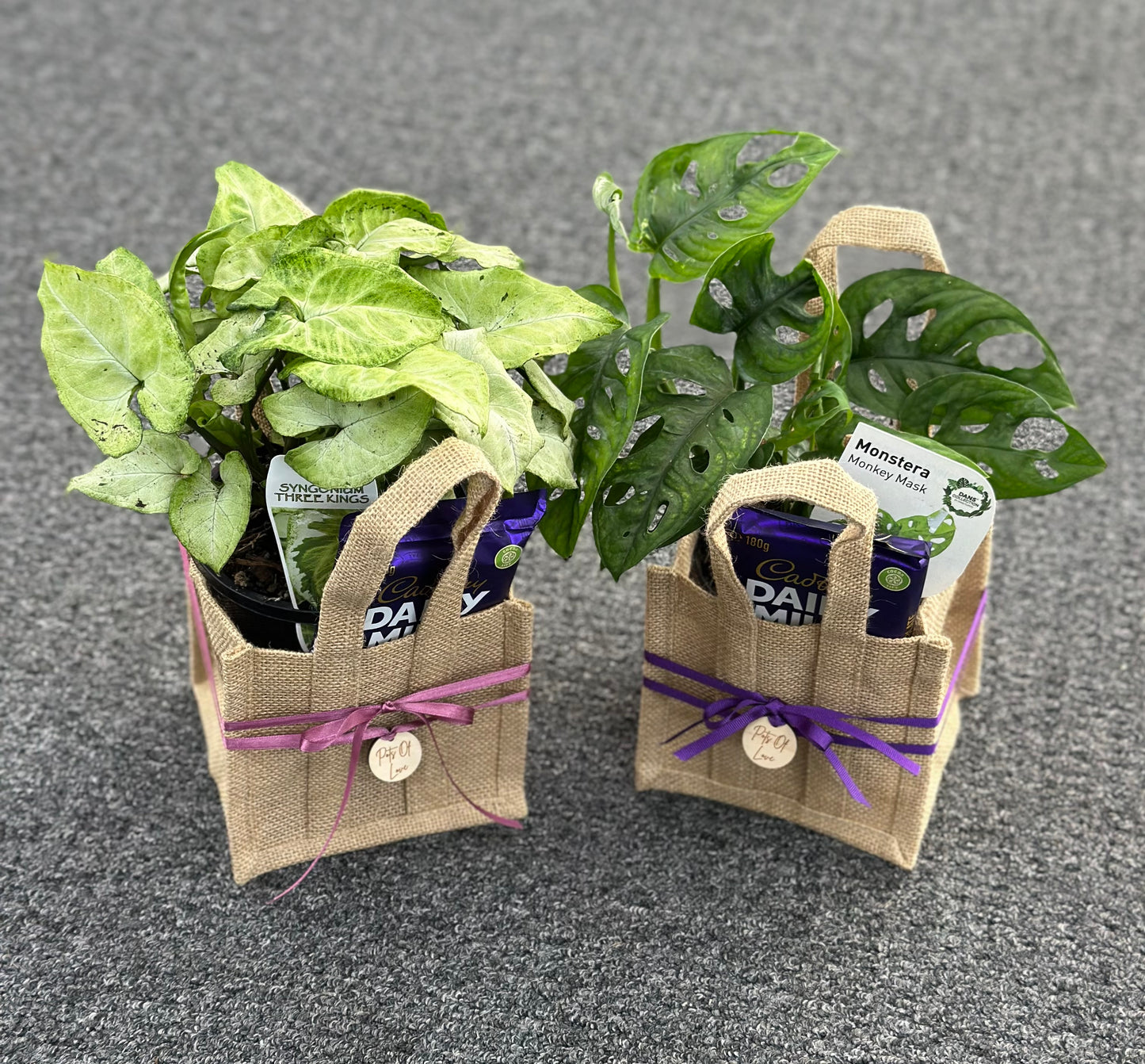 Plant + Choc - Mini Hessian Bag Hamper