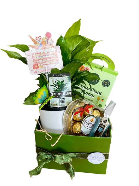 Greenery Parent Hamper