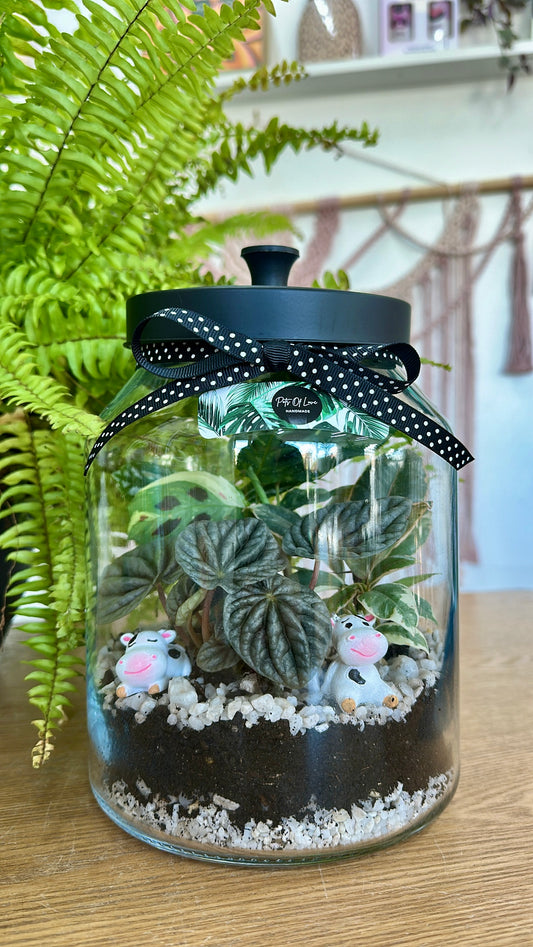 Cow Terrarium