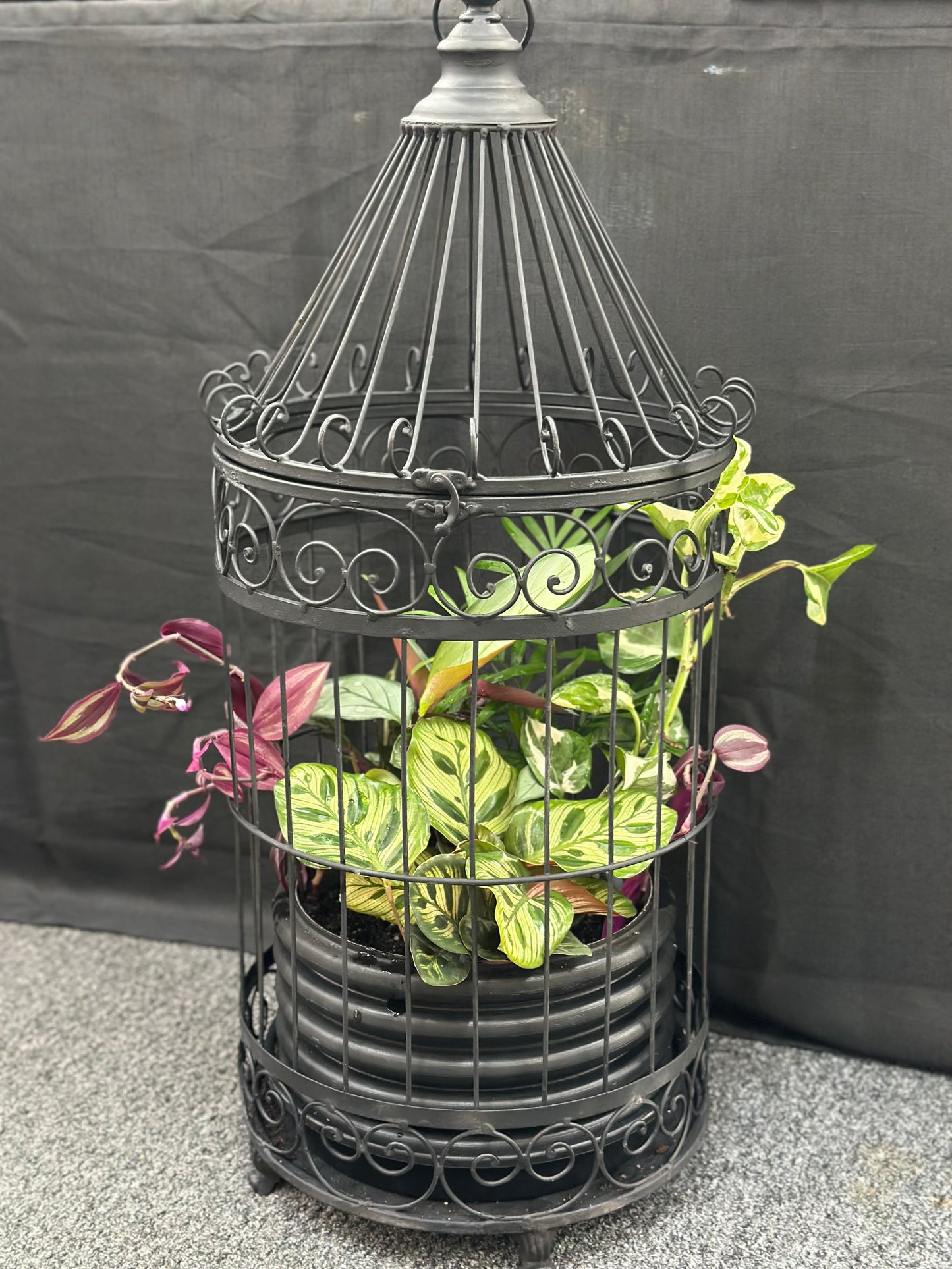 Birdcage Planter Arrangement