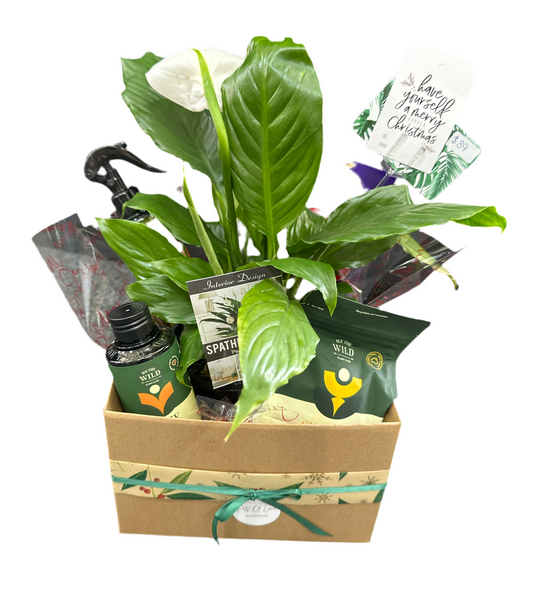 Plant Care Hamper