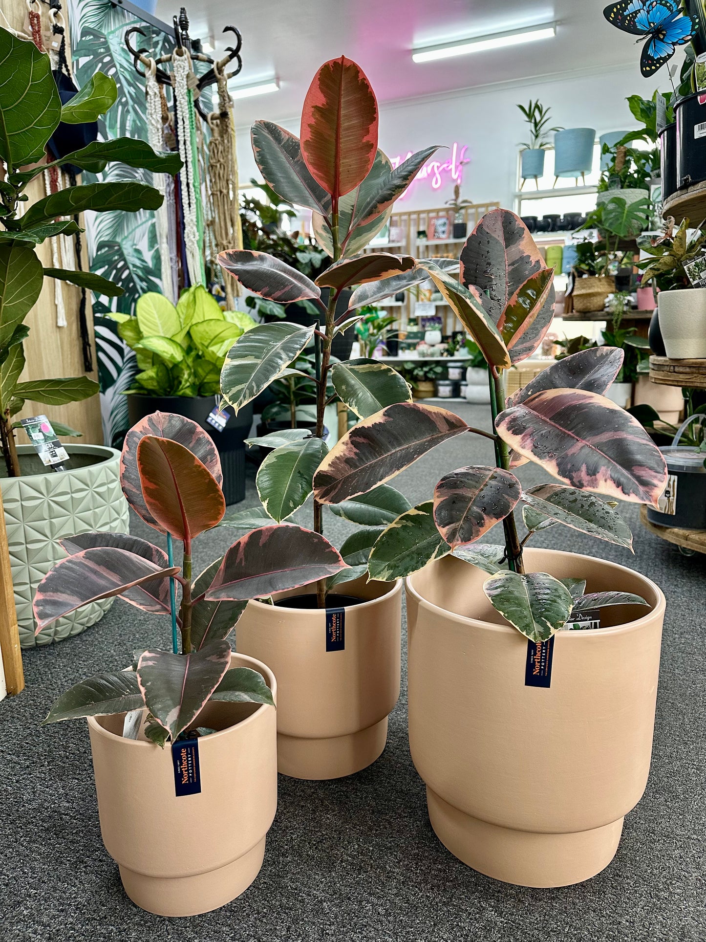 Kumo Pot - Blush Pink