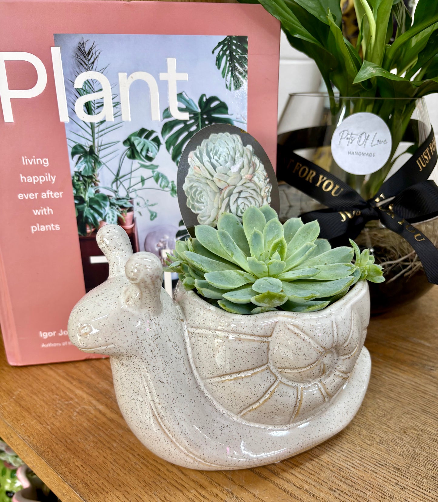 Snail Planter