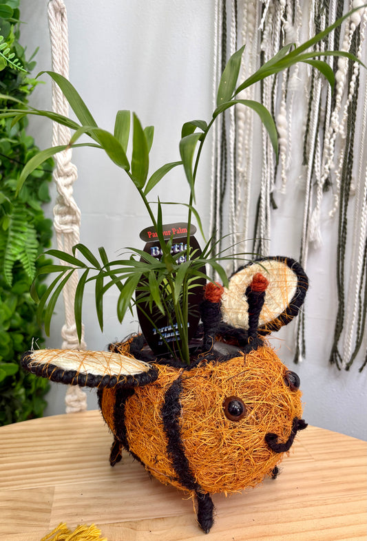 Husk Bee Planter