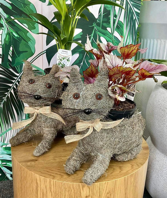 Husk Cat Planter
