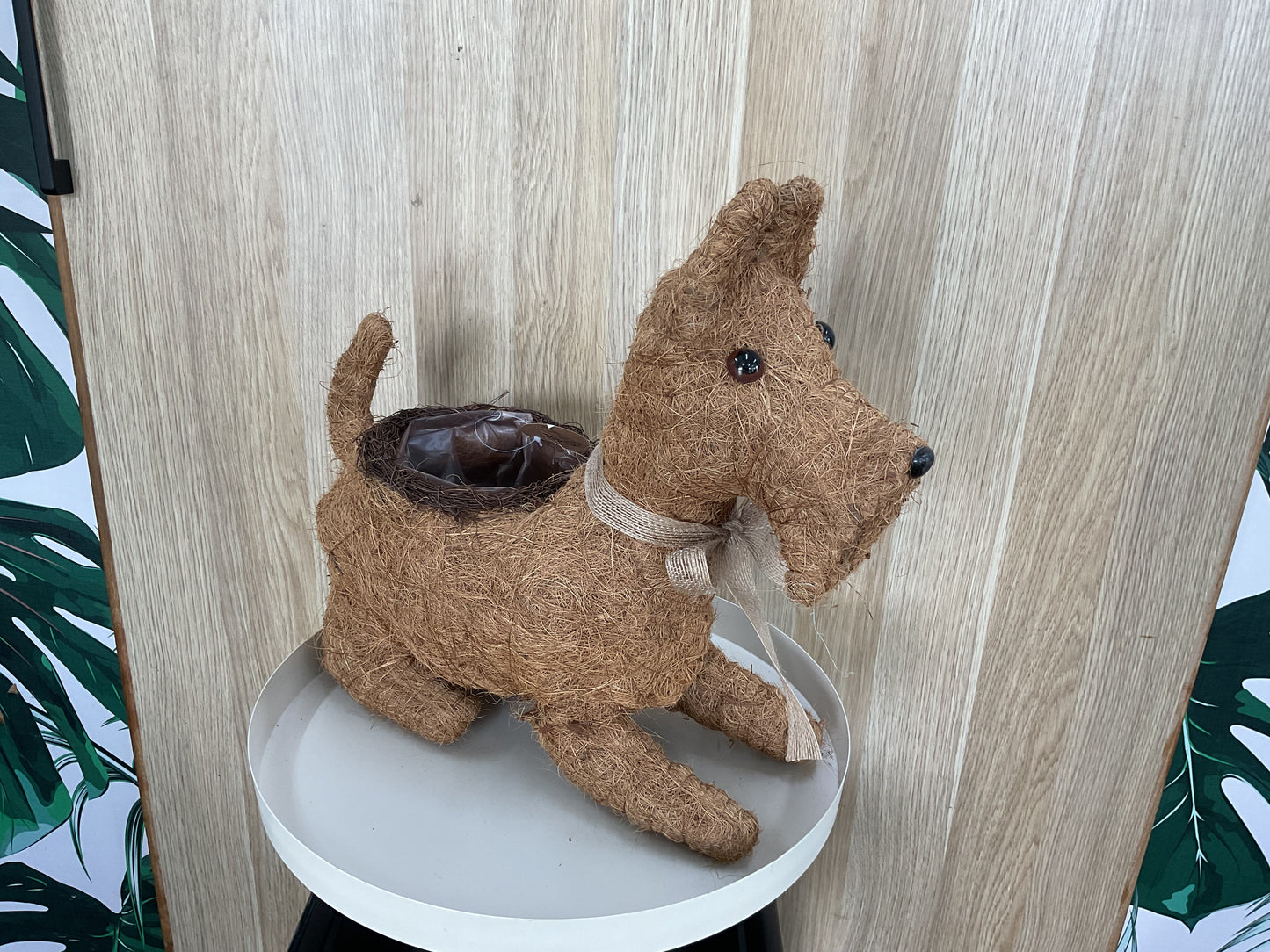 Scottie Dog Planter - Husk