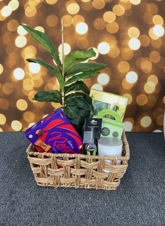 Deluxe plant parent Hamper