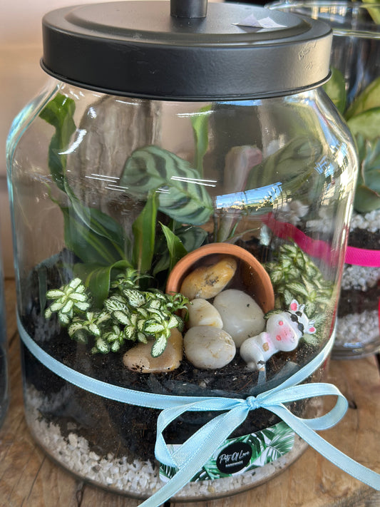 Terrarium - cow