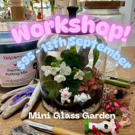 Glass Garden - Terrarium Workshop!