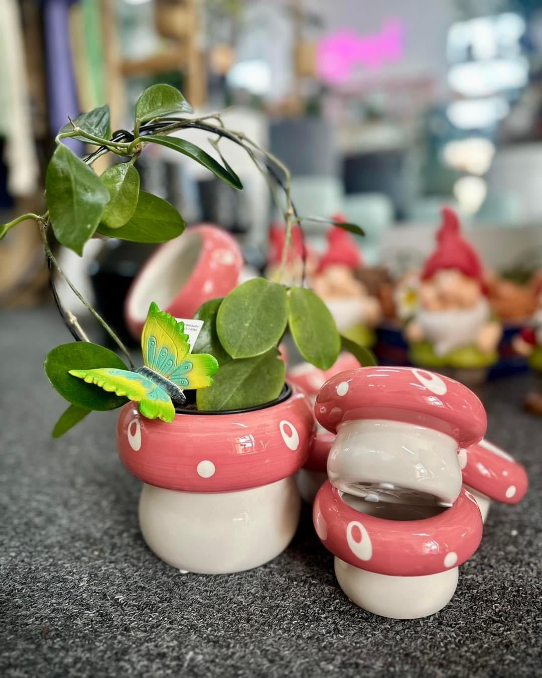 Toadstool Planter