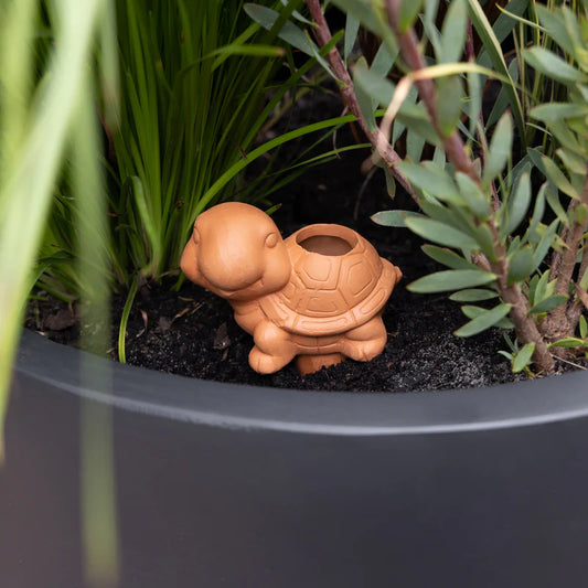 Self Watering Terracotta Turtle