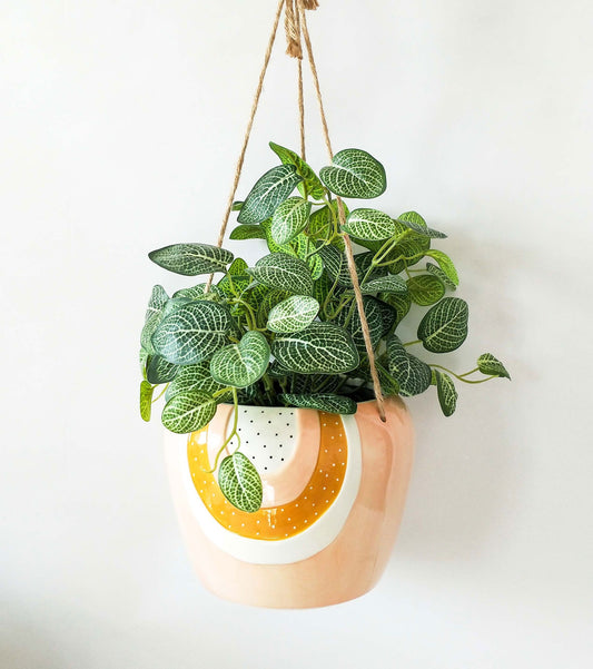 Rainbow Hanging Planter