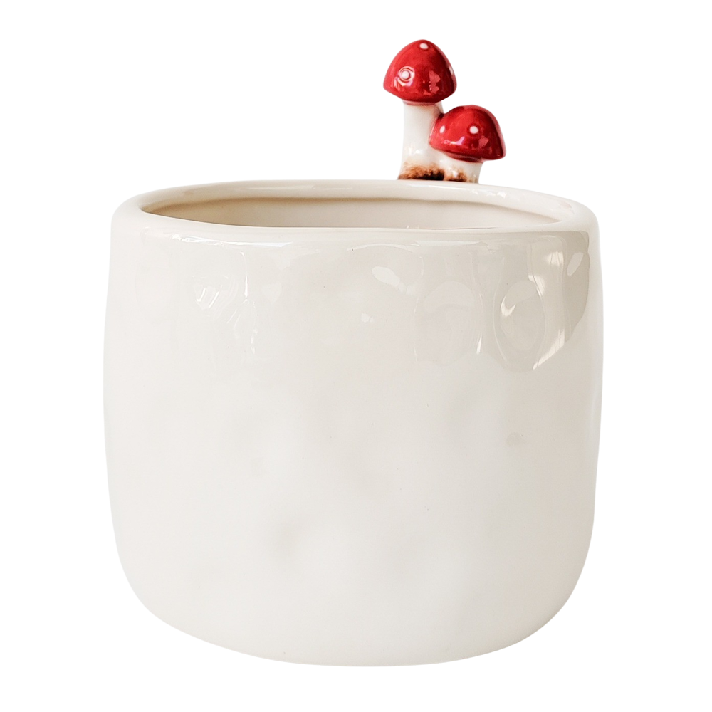 Toadstool Planter